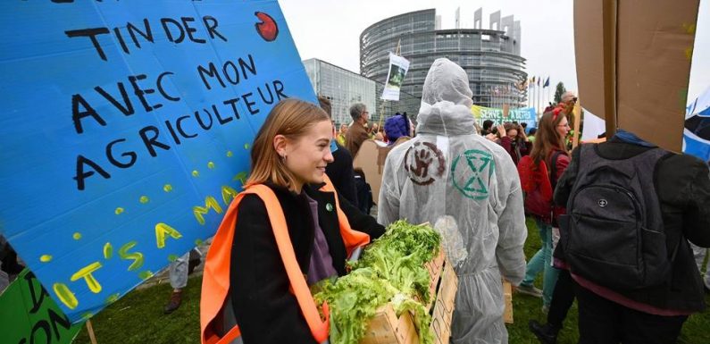 « Agribashing » : Une « cellule spécifique » mise en place à la gendarmerie nationale