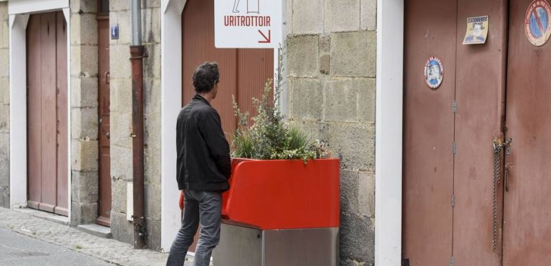 Toulouse : Les uritrottoirs, ces pissotières fleuries, débarquent en ville ce lundi