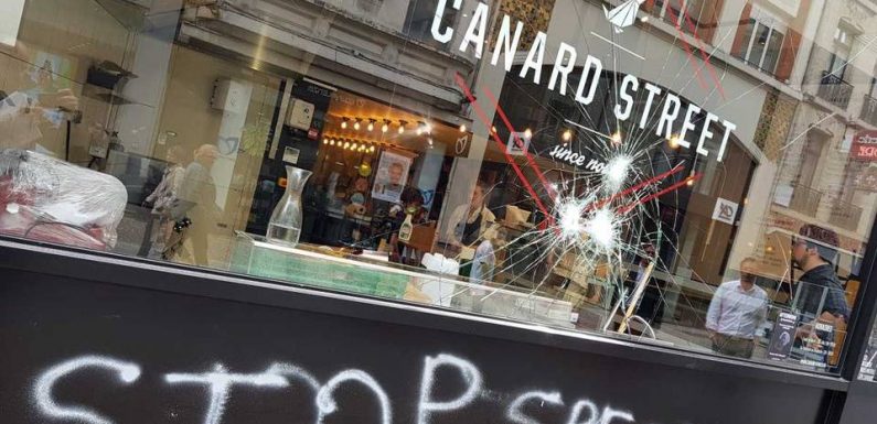 Procès des antispécistes : Soupçonnés d’avoir vandalisé des commerces, ils gardent le silence