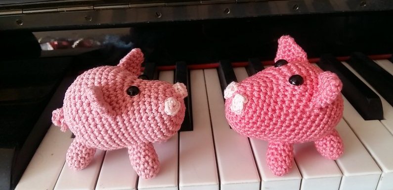 La cause animale, nouvel enjeu électoral. Ou électoraliste ?