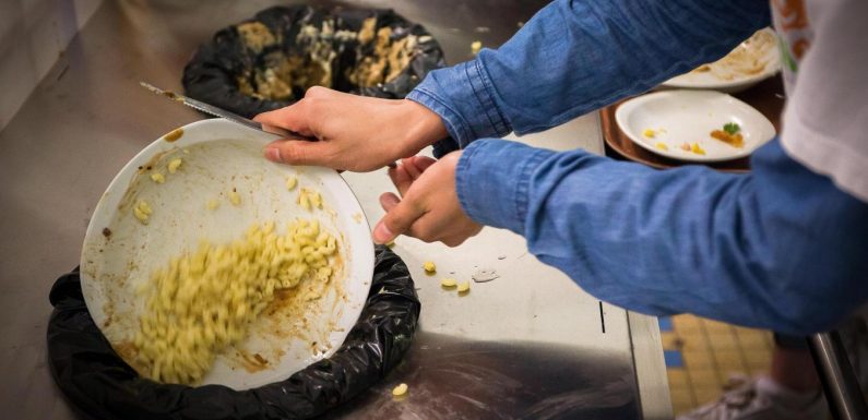 Qui gaspille le plus de nourriture?