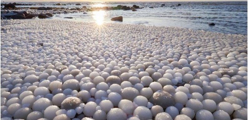 En Finlande, des «oeufs de glace» recouvrent entièrement une plage suite à un phénomène très rare
