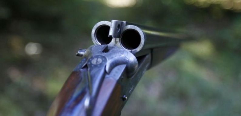 Nord : un chasseur tire accidentellement sur son fils et le blesse gravement