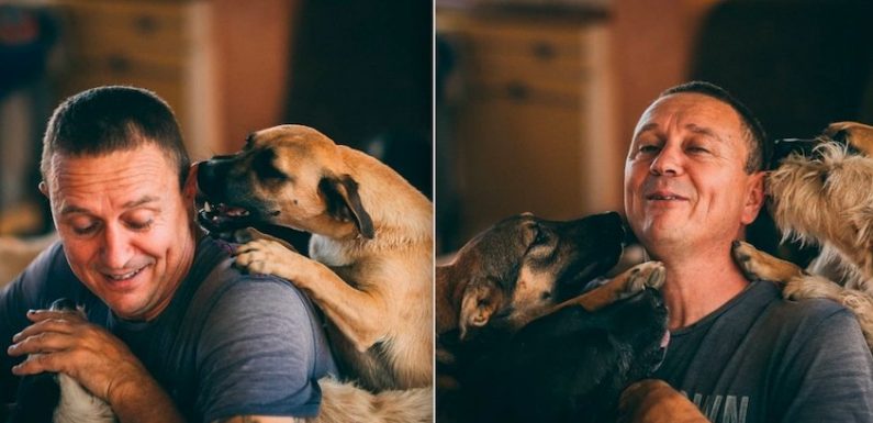 Sauveur de chiens abandonnés, il ouvre un refuge et recueille… 1 200 animaux en 10 ans