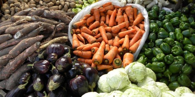 Togo: 159 millions de F CFA pour booster la sécurité alimentaire