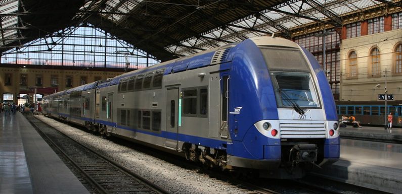 TER français : le mode de transport le plus coûteux au monde