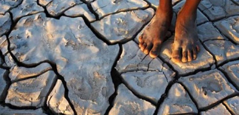 Le Togo résolument engagé dans la lutte contre le changement climatique