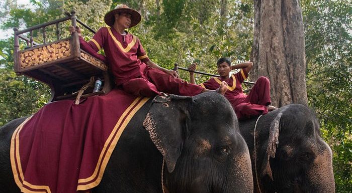 Les balades à dos d’éléphant vont être interdites à Angkor Wat
