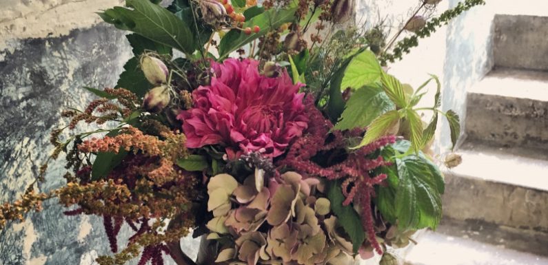 9 fleurs sur 10 sont importées : et si on passait là aussi au local?