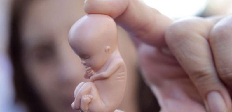 Belgique : certains partis veulent accroître l’avortement plutôt que d’améliorer la situation des mères
