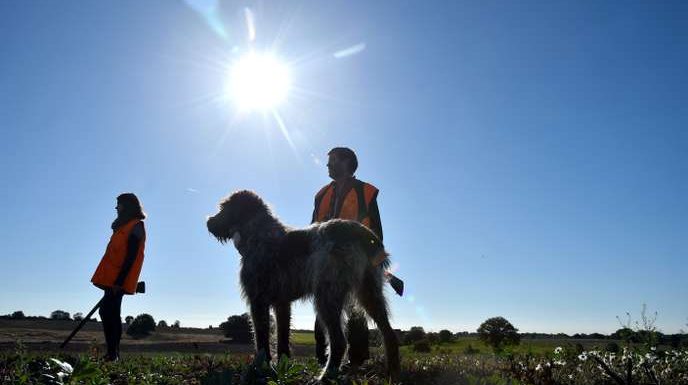 Une nouvelle série d’accidents rappelle les dangers de la chasse