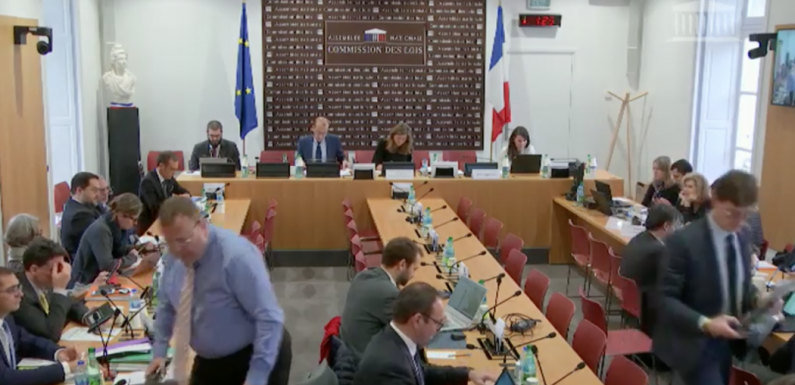 Intervention d’Emmanuelle Ménard en commission à l’occasion du 30e anniversaire de la convention internationale des droits de l’enfant