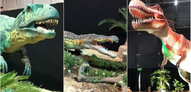 Foire de Grenoble : fréquentation record pour le premier week-end, l’effet dinosaures ?