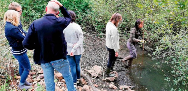 À Écaquelon, l’entretien des mares est devenu une priorité environnementale