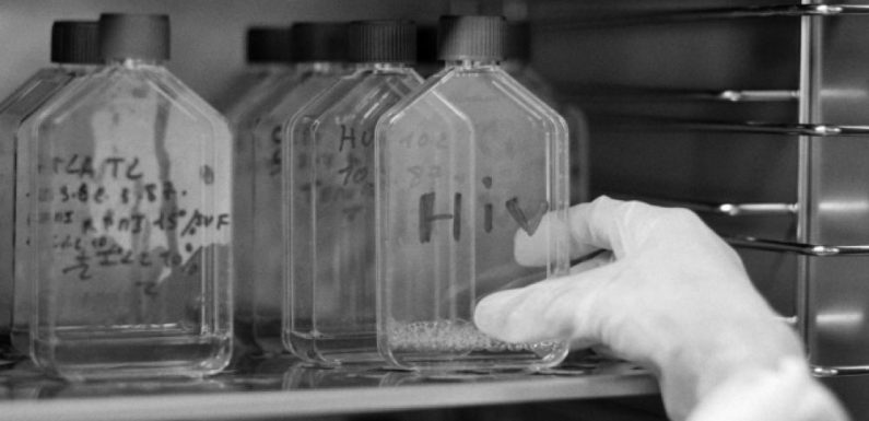 Une nouvelle souche rare du VIH enregistrée
