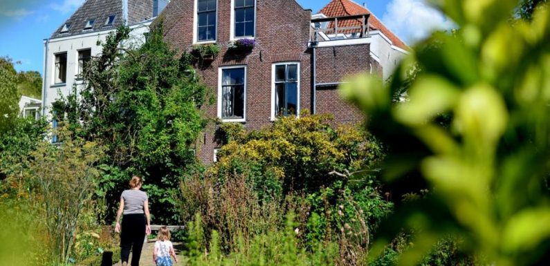 Les espaces verts en ville feraient baisser la mortalité prématurée