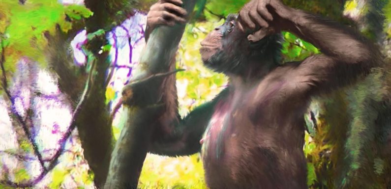 Nos ancêtres ont marché beaucoup plus tôt qu’on ne le pensait