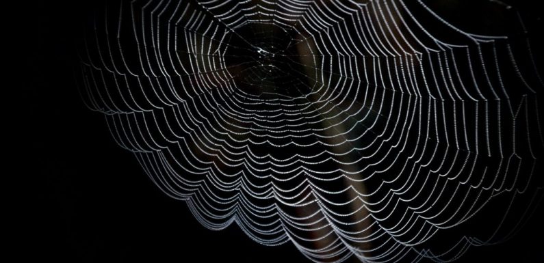 Dark Web : 21 millions de mots de passe du Fortune 500 sont à vendre