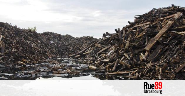 Des milliers de tonnes de bois toxique menacent les riverains et les bassins du Port du Rhin