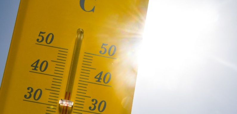 Le mois d’octobre a été le plus chaud dans le monde