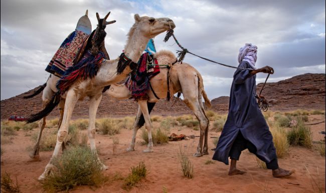 Algérie : dans le Sahara, le nomadisme est en voie de disparition