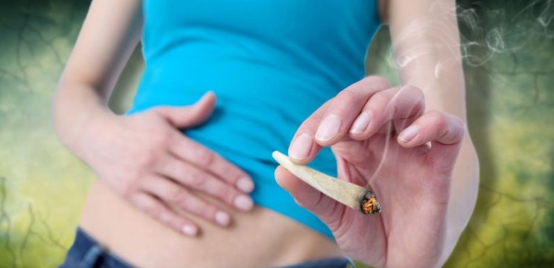Le cannabis serait le traitement le plus efficace contre l’endométriose, selon cette étude