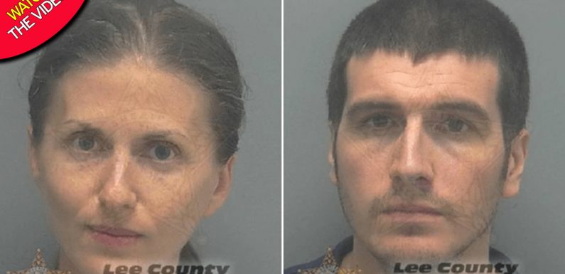 Vegan couple’s son ‘dies of malnutrition on diet of just fruit and vegetables’