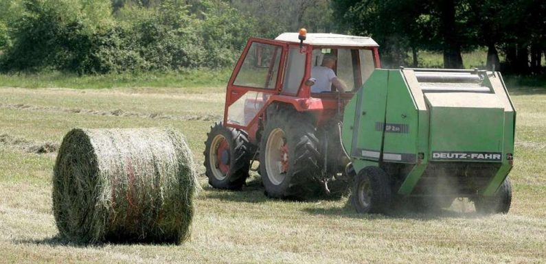 Près de 20% des agriculteurs n’ont dégagé aucun revenu en 2017
