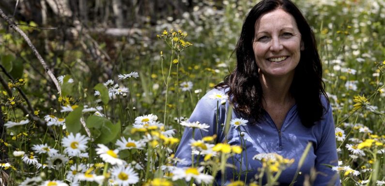 Le glyphosate mettrait nos forêts à risque