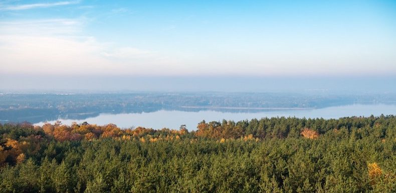 Brève histoire de la nature, de Gaia aux boutiques bio