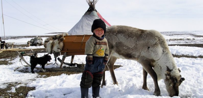 Russia shuts down Arctic indigenous rights group