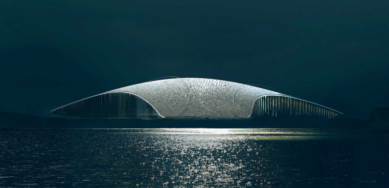 La Norvège dévoile une construction en hommage aux baleines qui se fond à merveille dans la nature