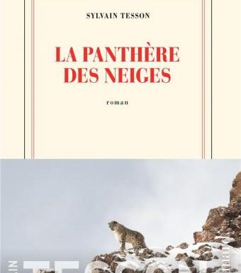 Le prix Renaudot 2019 est attribué à Sylvain Tesson pour La panthère des neiges