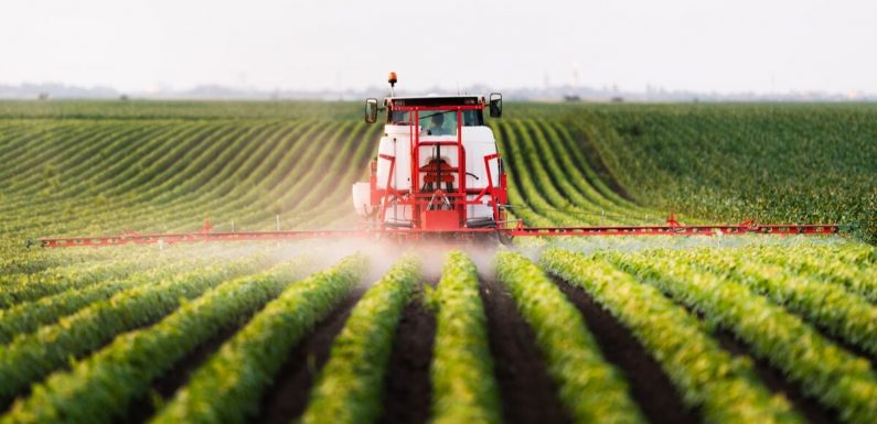 Les exploitations agricoles d’Afrique risquent d’être bientôt noyées de pesticides bannis d’Europe