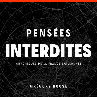 Un livre qui prône la Remigration n°2 des ventes sur Amazon
