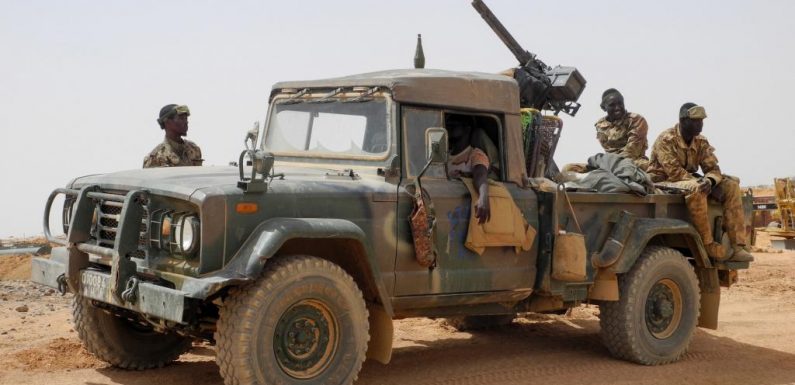 Mali: des soldats tués dans une attaque «terroriste» à Indelimane dans le Nord