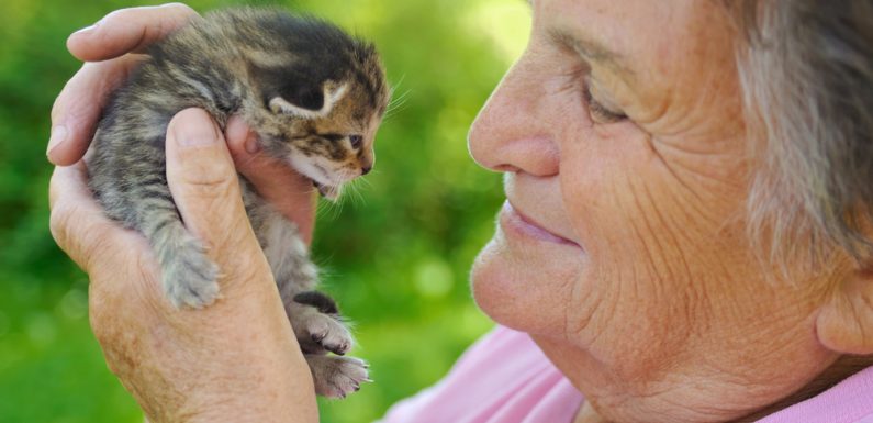 Ehpad : les personnes âgées pourront (bientôt) garder leur animal
