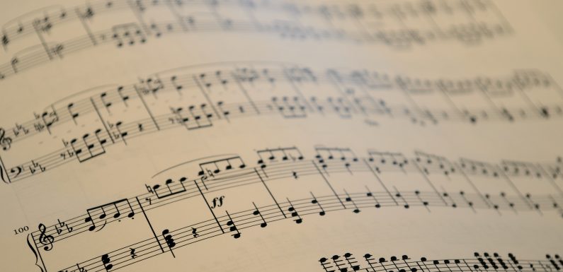 Toute la musique du monde obéit à la même grammaire universelle