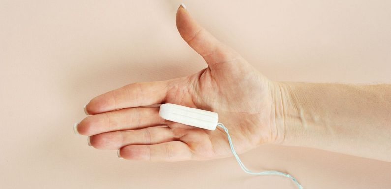 À Montpellier, des « boîtes solidaires » pour lutter contre la précarité menstruelle des étudiantes