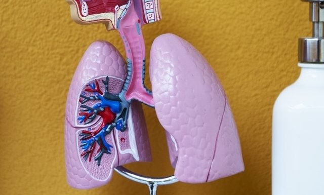 Etats-Unis Percée dans le traitement de la mucoviscidose