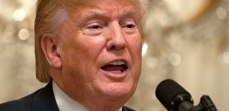 Trump criticizes Yovanovitch during her public testimony