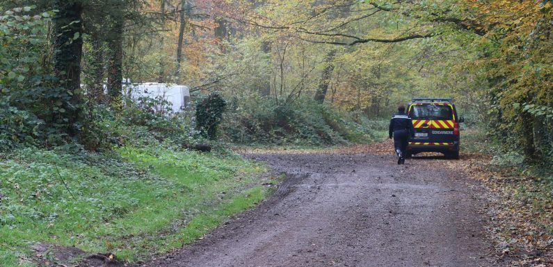 Aisne : une femme enceinte tuée par des chiens alors qu’elle se baladait en forêt