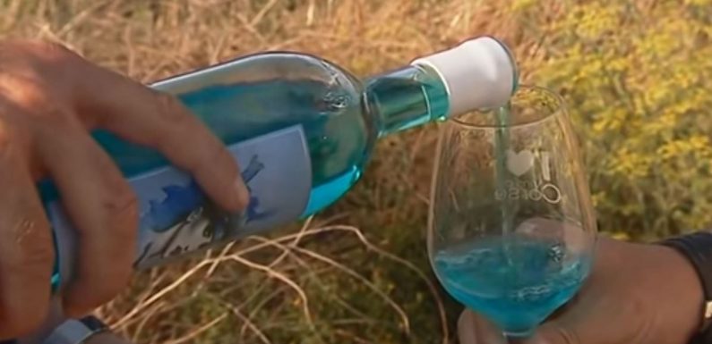 “Vin” bleu Corse : une enquête préliminaire pour tromperie est ouverte