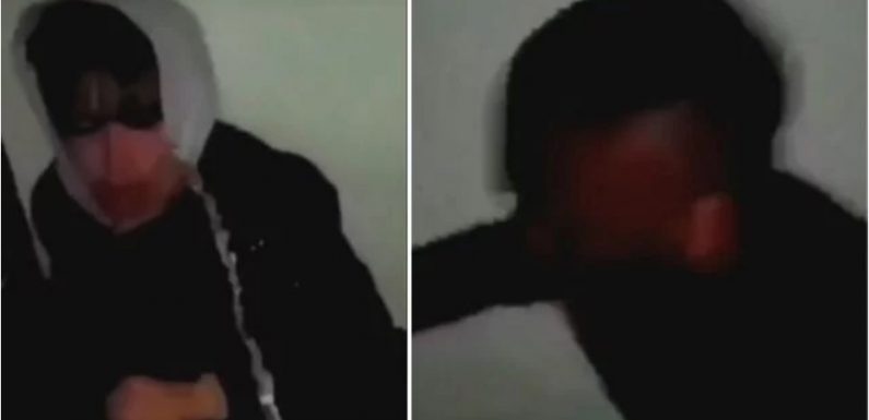 Suède : un site de presse diffuse la vidéo d’un jeune ado se faisant frapper et uriner dessus par des immigrés