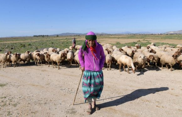 « Nous allons bientôt connaître la famine » : la sourde colère du centre-ouest tunisien