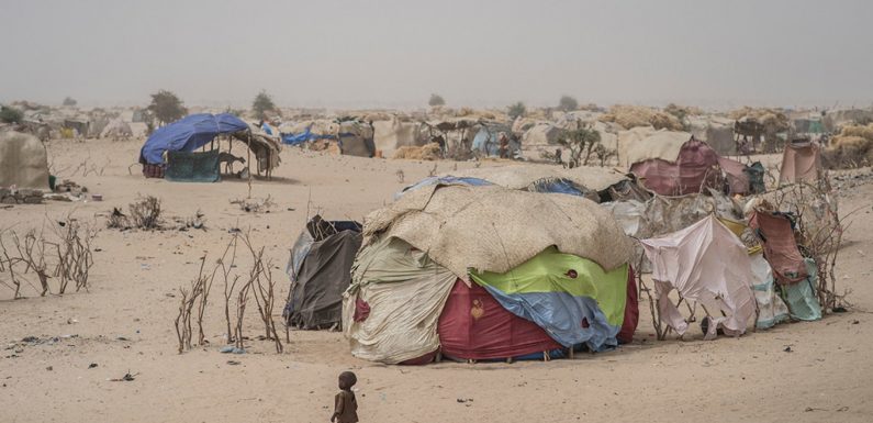 Niger: 2,9 millions de personnes auront besoin d’aide humanitaire en 2020