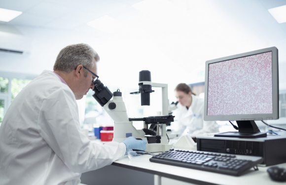 Virginie Tournay : « Le religieux ne doit pas avoir un statut équivalent au savoir scientifique »