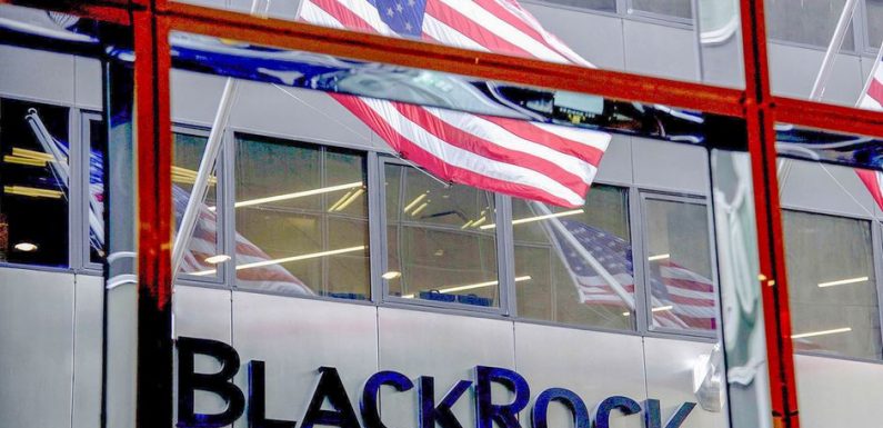 Ces financiers qui dirigent le monde – BlackRock