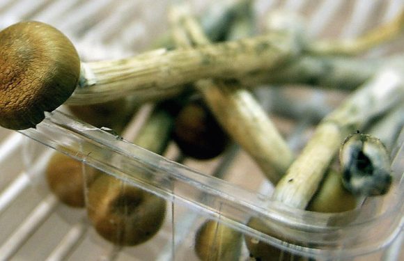 ‘Magic mushroom’ ingredient could be used to treat depression, study says