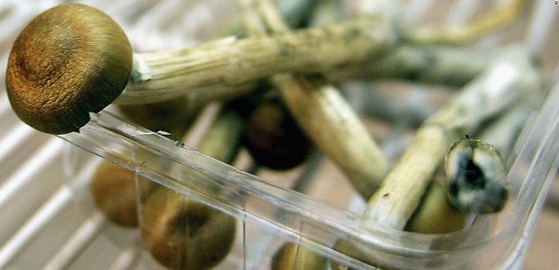 ‘Magic mushroom’ ingredient could be used to treat depression, study says